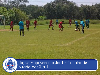 Tigres vence o Jardim Planalto na preparação para temporada 2013