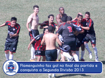 Flamenguinho conquista a Segunda Divisão 2013